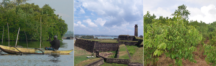 Hotel Lanka Supercorals Hikkaduwa